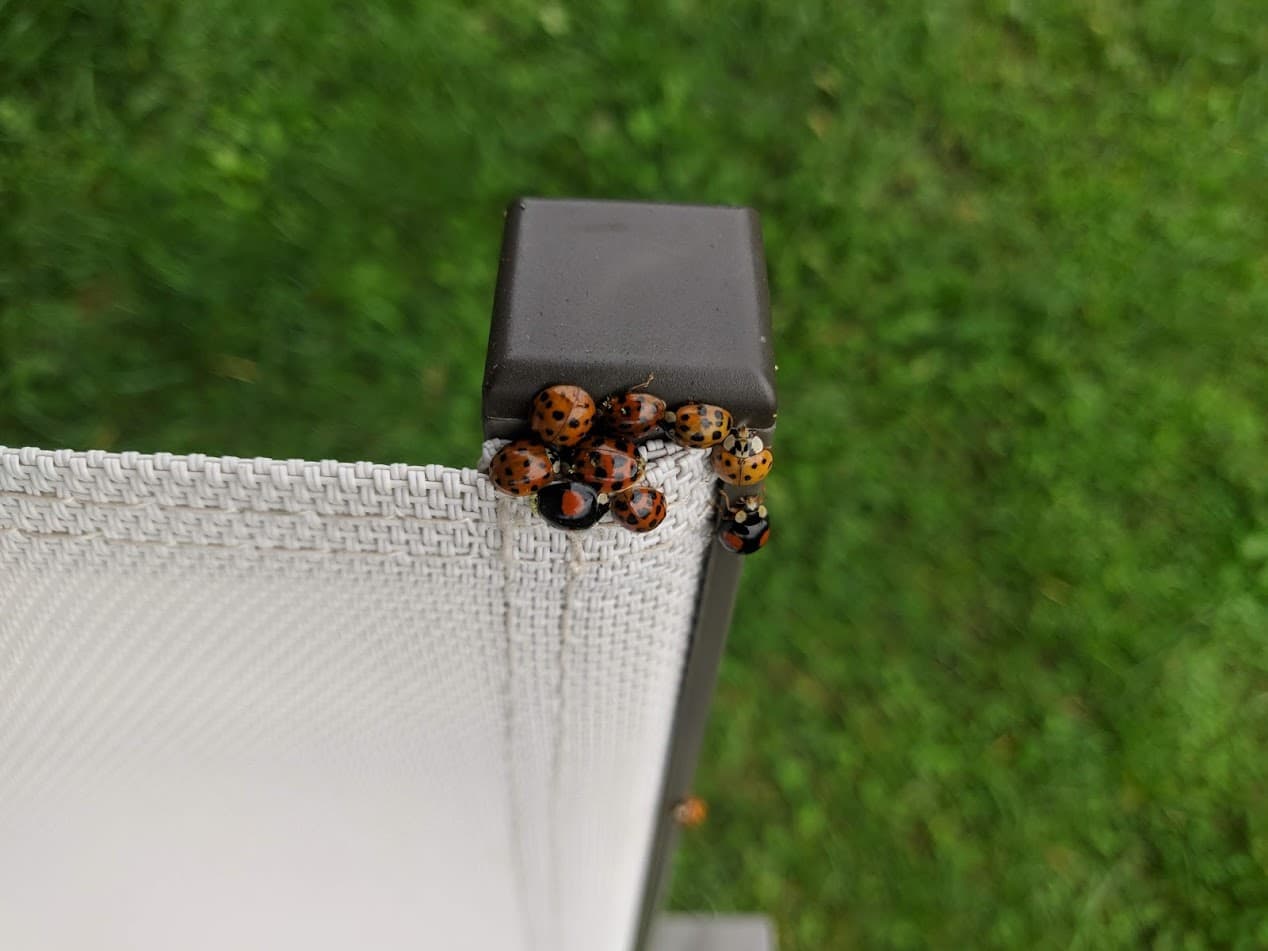 Yet Another AWK Cheat Sheet